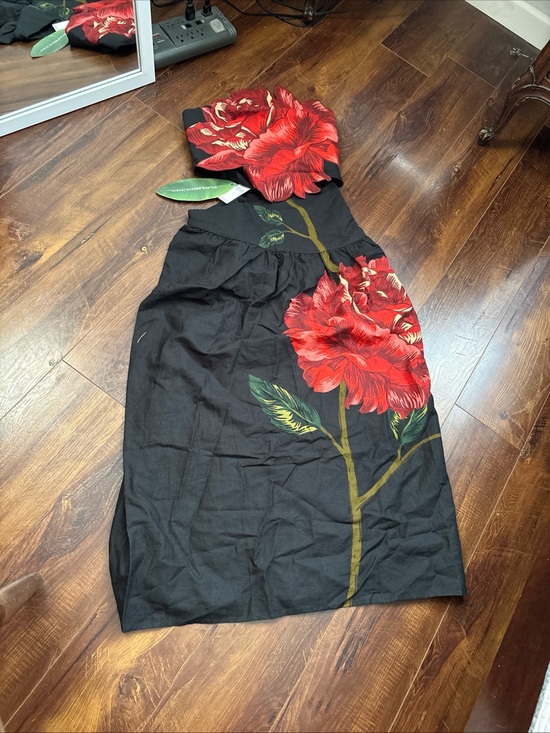 FARM Rio Dresses & Skirts - FARM Rio Black Maxi Dress with Red Floral Print